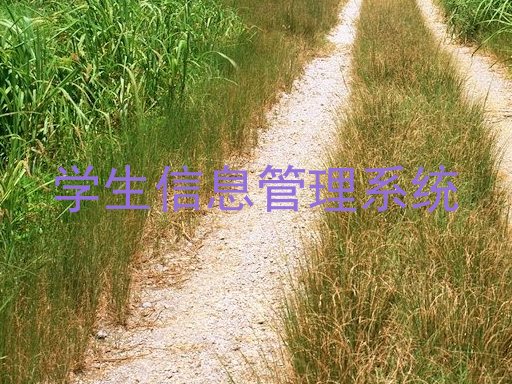 学生信息管理系统