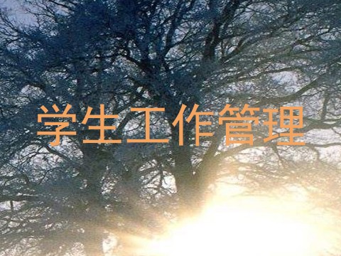 学生工作管理