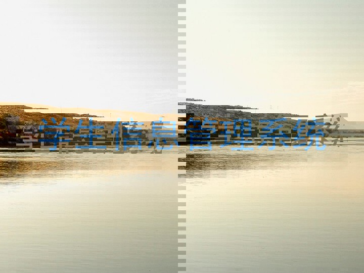 学生信息管理系统