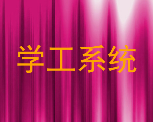 学工系统
