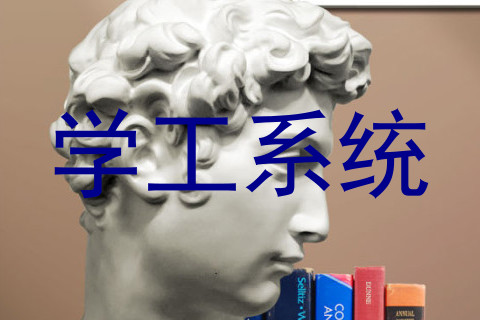 学工系统
