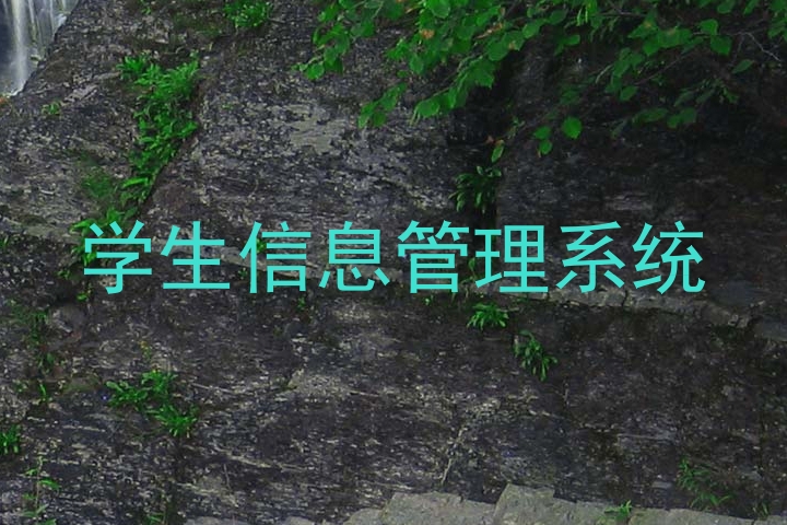 学生信息管理系统