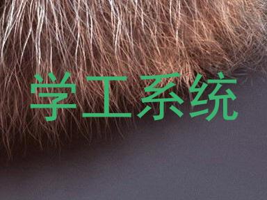 学工系统