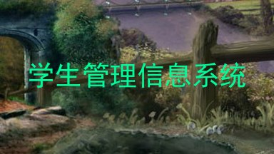 学生管理信息系统