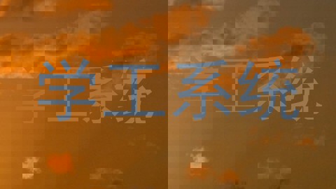 学工系统