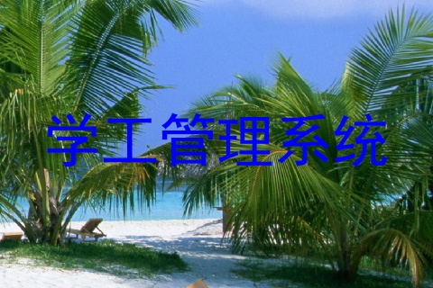 学工管理系统