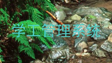 学工管理系统