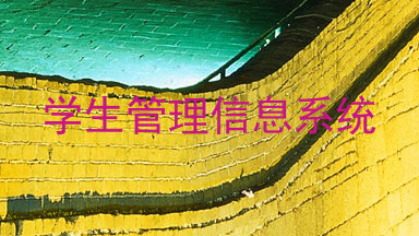 学生管理信息系统