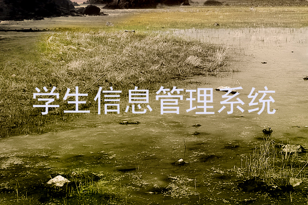 学生信息管理系统