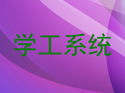 学工系统