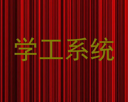 学工系统
