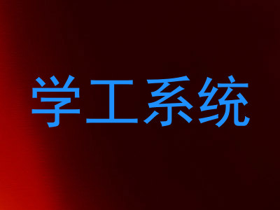 学工系统