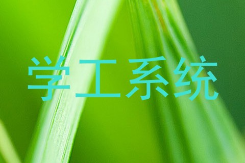 学工系统