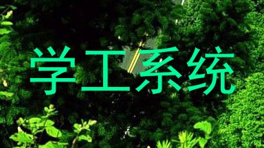 学工系统