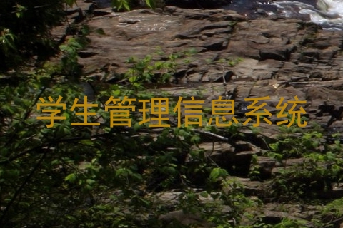 学生管理信息系统