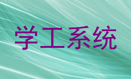 学工系统