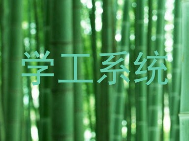 学工系统