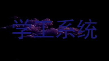 学工系统