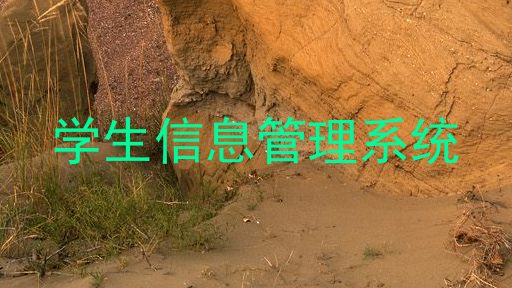 学生信息管理系统