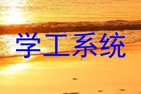 学工系统