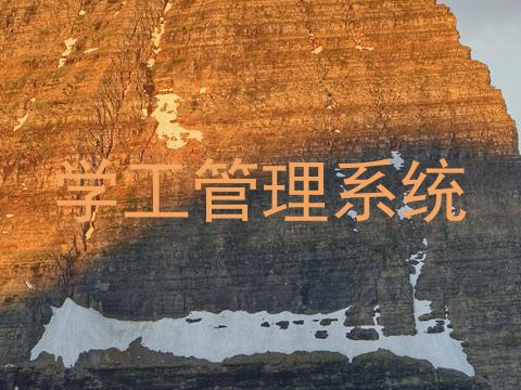 学工管理系统