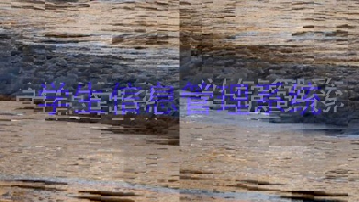 学生信息管理系统