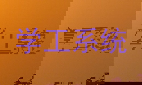 学工系统