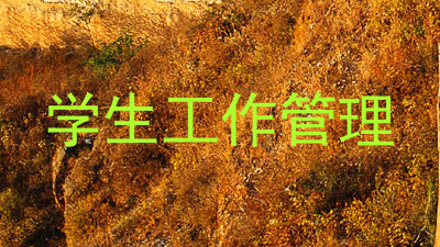 学生工作管理
