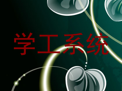 学工系统