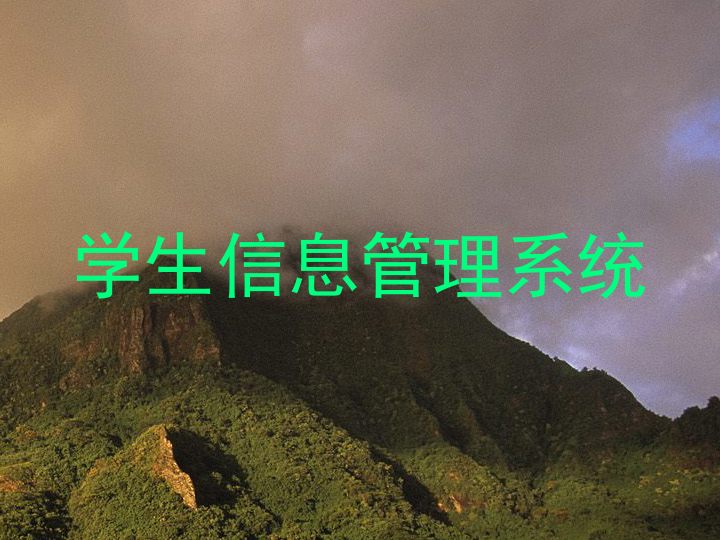 学生信息管理系统