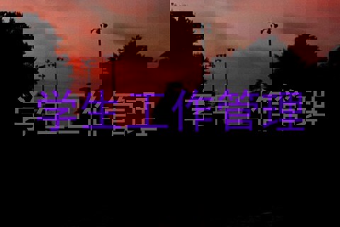 学生工作管理