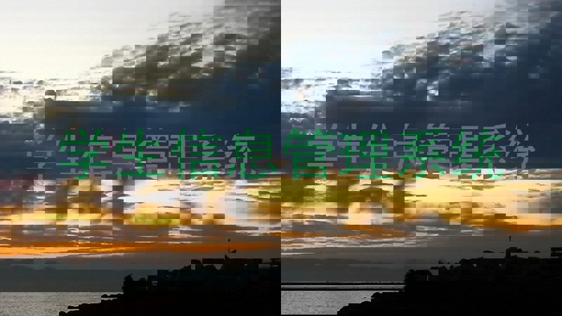 学生信息管理系统