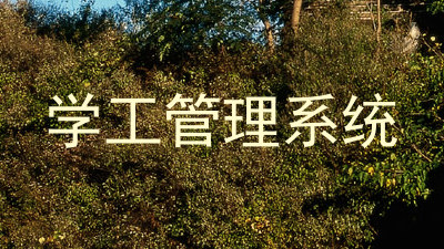 学工管理系统