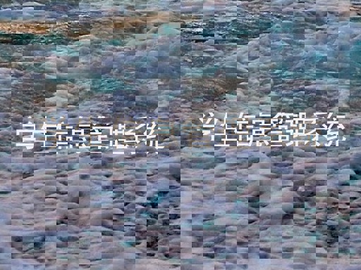 学生信息管理系统