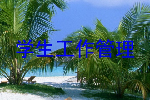 学生工作管理
