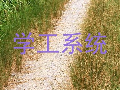 学工系统