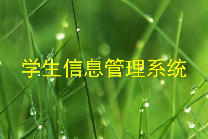 学生信息管理系统