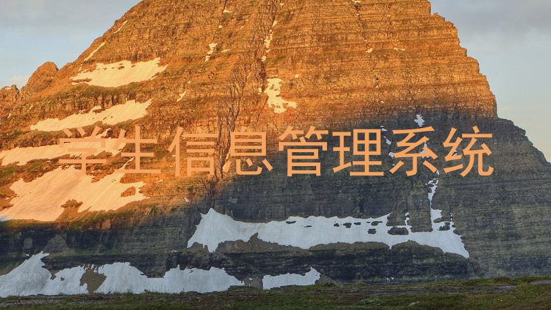 学生信息管理系统