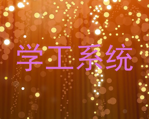 学工系统