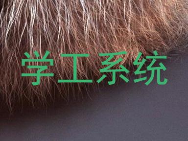 学工系统