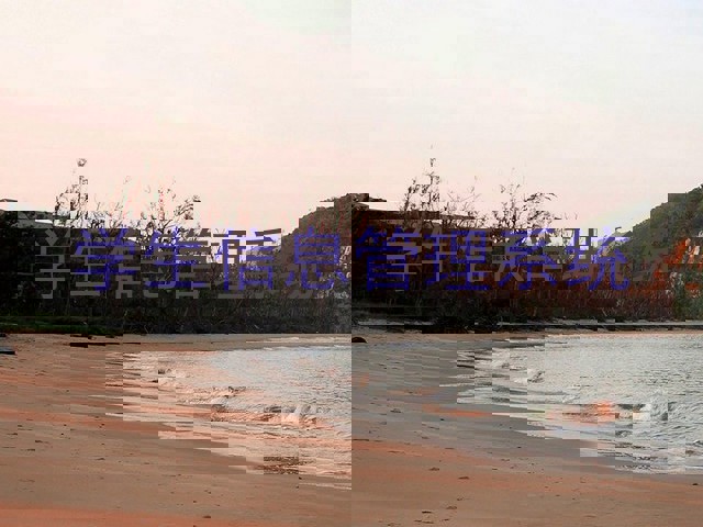 学生信息管理系统