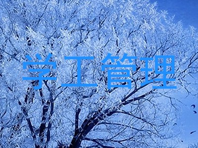 学工管理