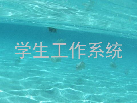 学生工作系统