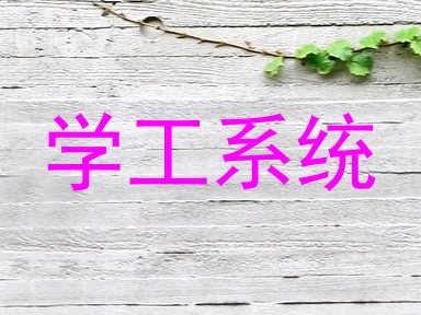 学工系统