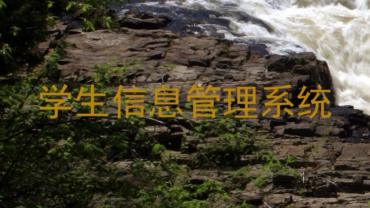 学生信息管理系统