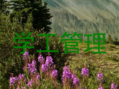 学工管理
