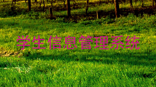 学生信息管理系统