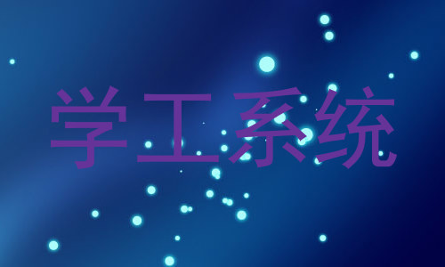 学工系统