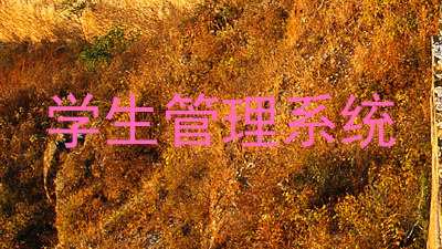 学生管理系统