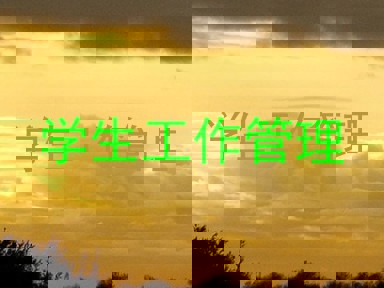 学生工作管理